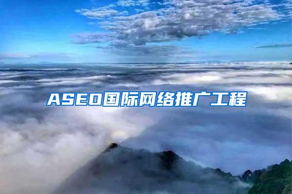 ASEO国际网络推广工程