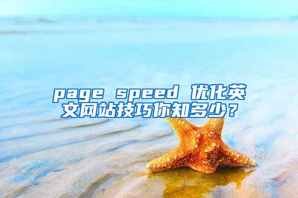 page speed 优化英文网站技巧你知多少？