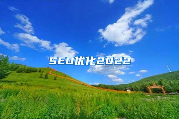 SEO优化2022