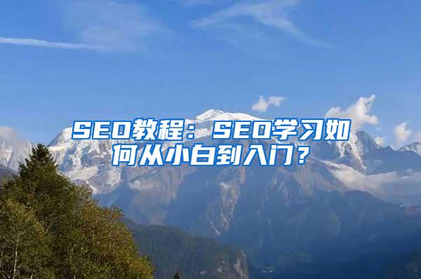 SEO教程：SEO学习如何从小白到入门？