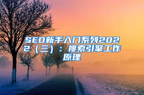 SEO新手入门系列2022（三）：搜索引擎工作原理