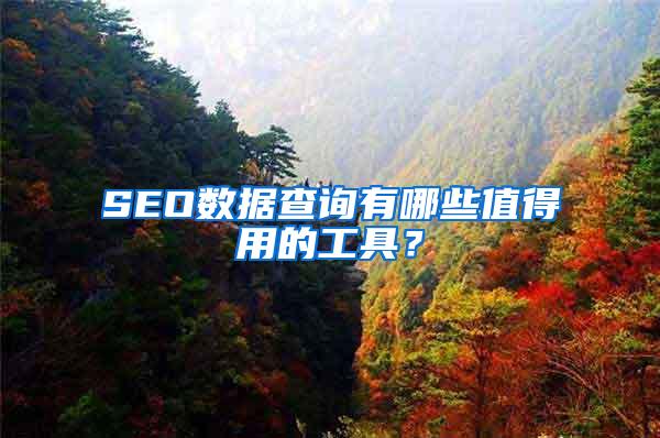 SEO数据查询有哪些值得用的工具？