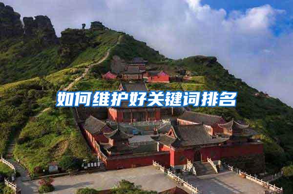 如何维护好关键词排名