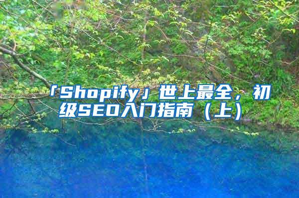 「Shopify」世上最全，初级SEO入门指南（上）