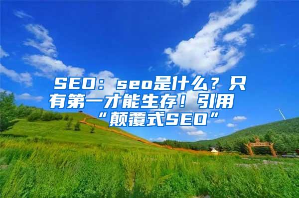 SEO：seo是什么？只有第一才能生存！引用“颠覆式SEO”