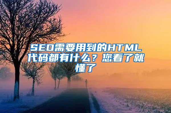 SEO需要用到的HTML代码都有什么？您看了就懂了