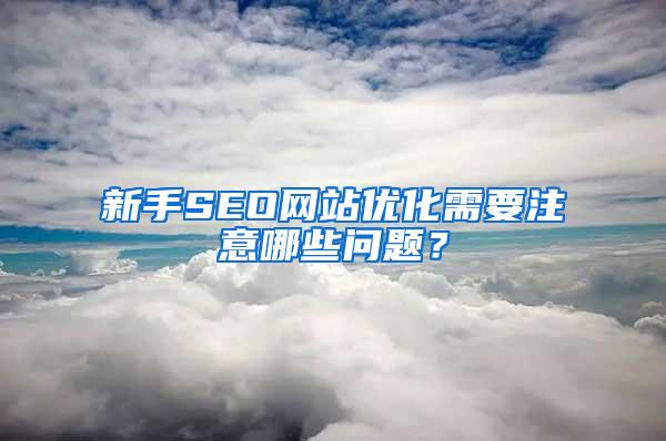 新手SEO网站优化需要注意哪些问题？