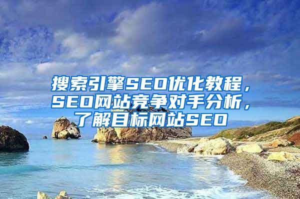 搜索引擎SEO优化教程，SEO网站竞争对手分析，了解目标网站SEO