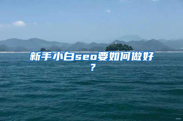 新手小白seo要如何做好？