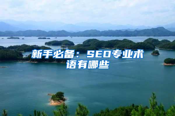 新手必备：SEO专业术语有哪些