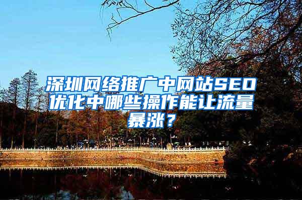 深圳网络推广中网站SEO优化中哪些操作能让流量暴涨？