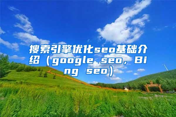 搜索引擎优化seo基础介绍（google seo，Bing seo）