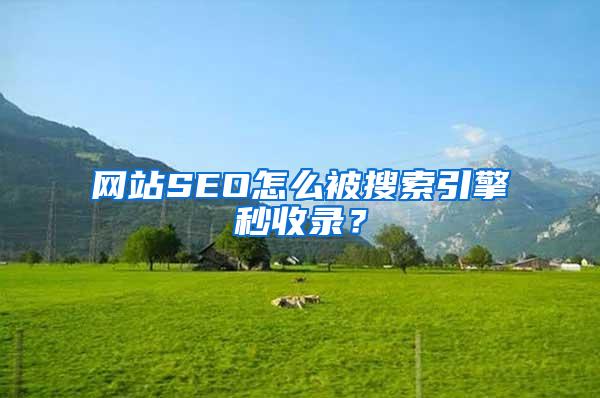 网站SEO怎么被搜索引擎秒收录？
