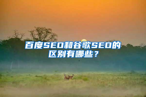 百度SEO和谷歌SEO的区别有哪些？