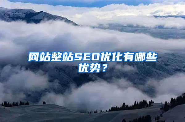 网站整站SEO优化有哪些优势？