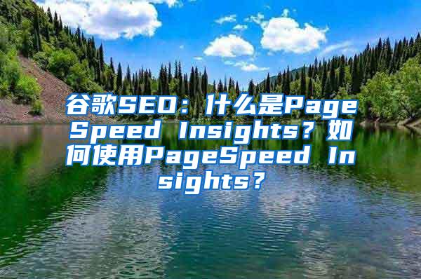 谷歌SEO：什么是PageSpeed Insights？如何使用PageSpeed Insights？