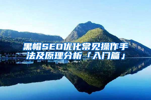 黑帽SEO优化常见操作手法及原理分析「入门篇」