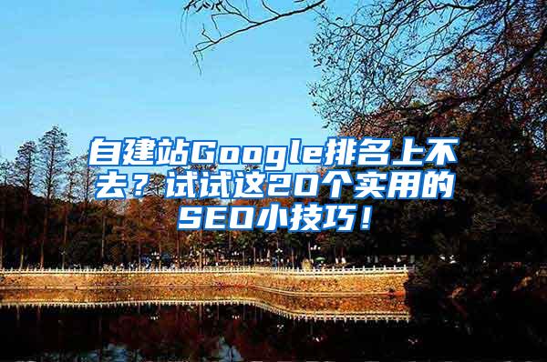 自建站Google排名上不去？试试这2O个实用的SEO小技巧！