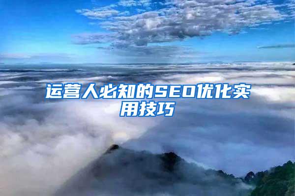 运营人必知的SEO优化实用技巧