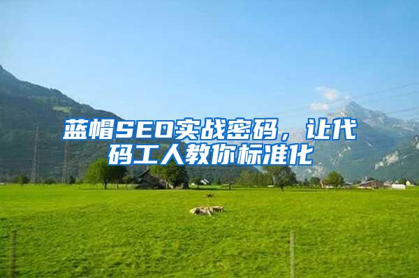 蓝帽SEO实战密码，让代码工人教你标准化