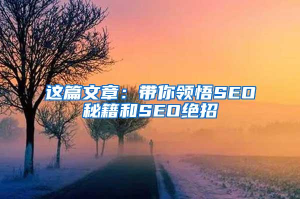 这篇文章：带你领悟SEO秘籍和SEO绝招