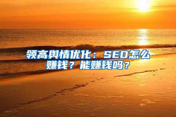 领高舆情优化：SEO怎么赚钱？能赚钱吗？