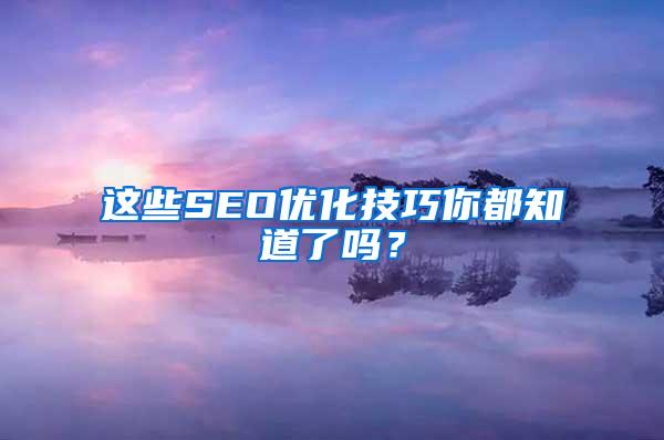 这些SEO优化技巧你都知道了吗？