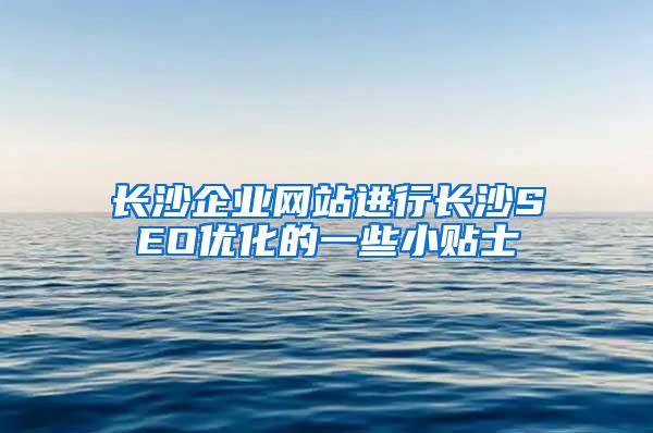 长沙企业网站进行长沙SEO优化的一些小贴士