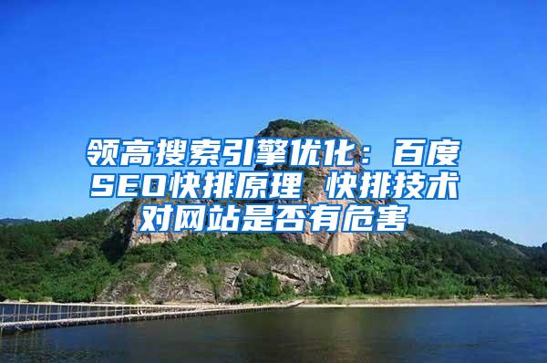 领高搜索引擎优化：百度SEO快排原理 快排技术对网站是否有危害