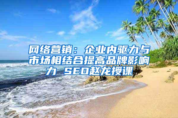 网络营销：企业内驱力与市场相结合提高品牌影响力 SEO赵龙授课