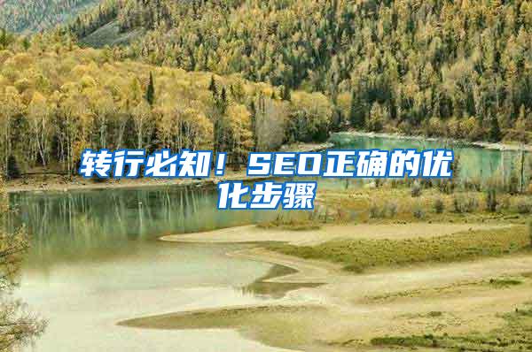 转行必知！SEO正确的优化步骤