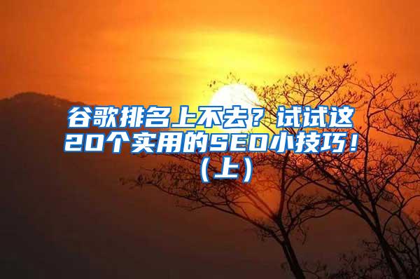 谷歌排名上不去？试试这2O个实用的SEO小技巧！（上）