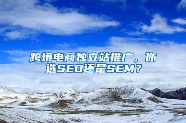 跨境电商独立站推广，你选SEO还是SEM？