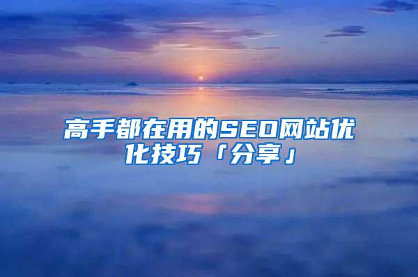 高手都在用的SEO网站优化技巧「分享」