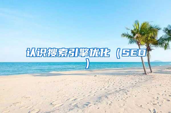 认识搜索引擎优化（SEO）