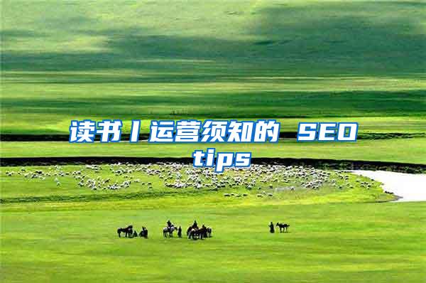 读书丨运营须知的 SEO tips