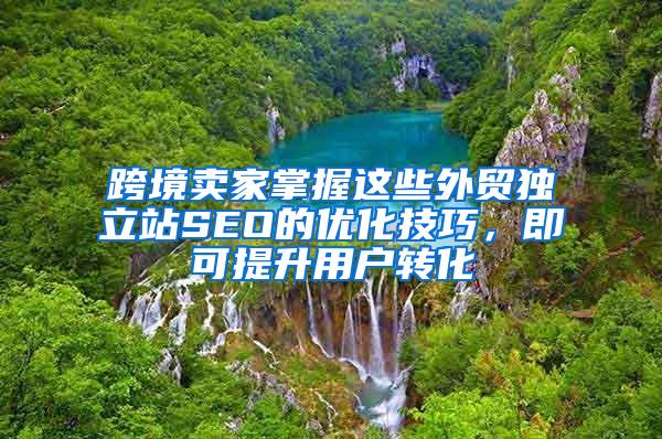 跨境卖家掌握这些外贸独立站SEO的优化技巧，即可提升用户转化