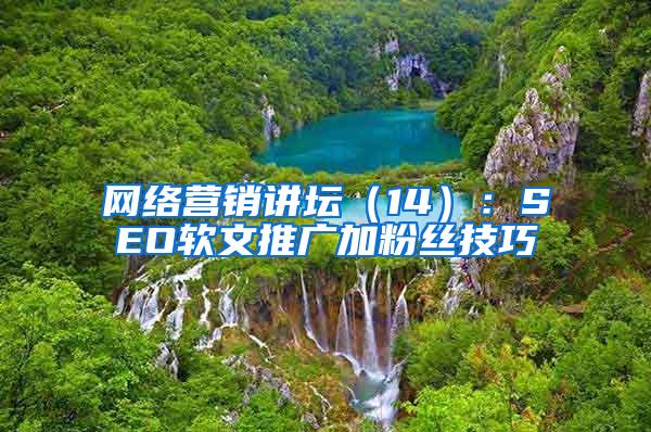 网络营销讲坛（14）：SEO软文推广加粉丝技巧
