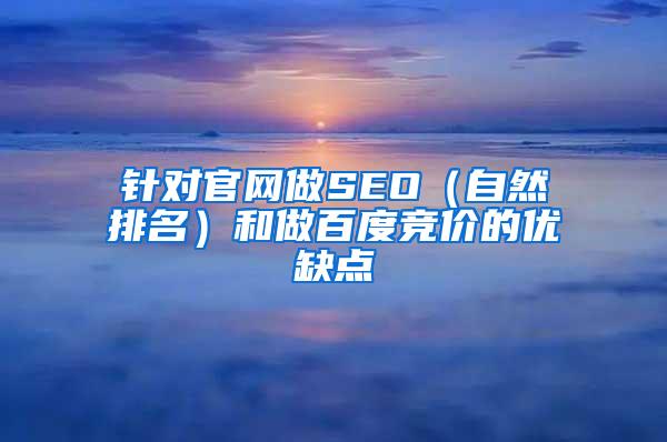 针对官网做SEO（自然排名）和做百度竞价的优缺点