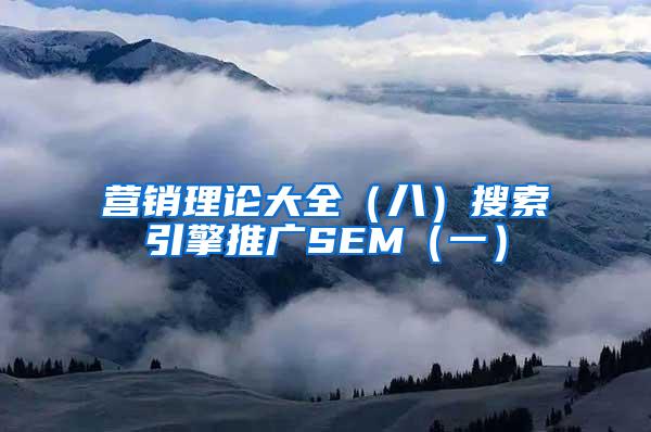 营销理论大全（八）搜索引擎推广SEM（一）