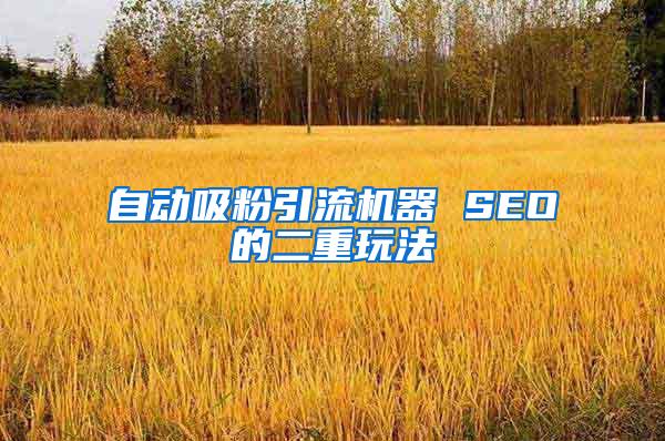 自动吸粉引流机器 SEO的二重玩法