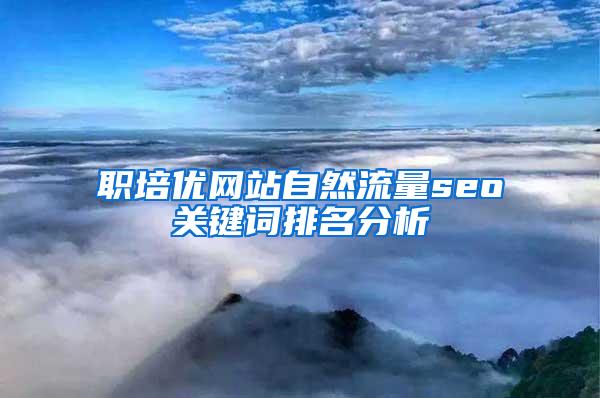 职培优网站自然流量seo关键词排名分析