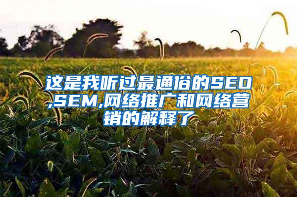 这是我听过最通俗的SEO,SEM,网络推广和网络营销的解释了