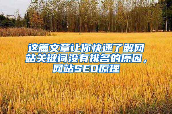 这篇文章让你快速了解网站关键词没有排名的原因，网站SEO原理