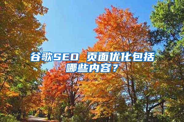 谷歌SEO 页面优化包括哪些内容？