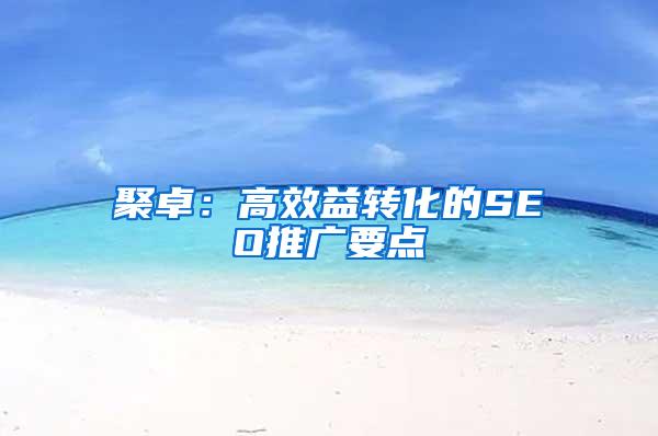 聚卓：高效益转化的SEO推广要点