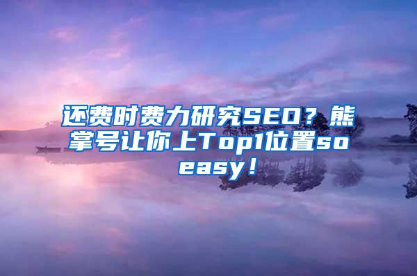 还费时费力研究SEO？熊掌号让你上Top1位置so easy！