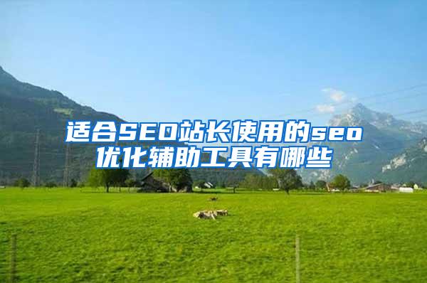 适合SEO站长使用的seo优化辅助工具有哪些