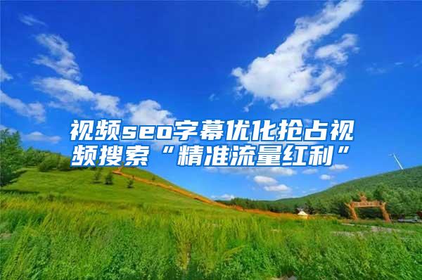 视频seo字幕优化抢占视频搜索“精准流量红利”