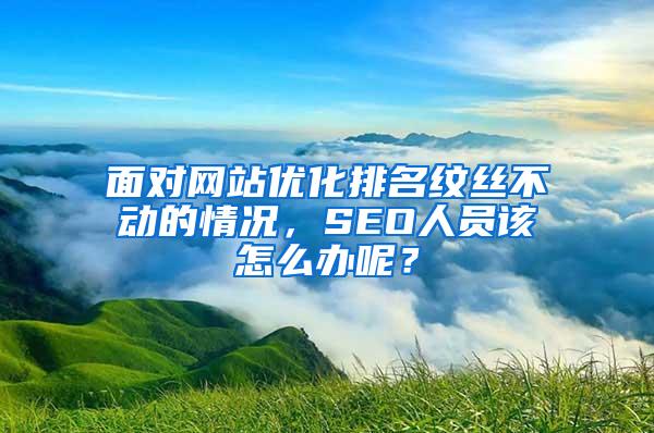 面对网站优化排名纹丝不动的情况，SEO人员该怎么办呢？